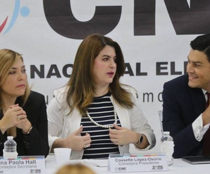 CNE recibe ofertas para la implementación del sistema TREP